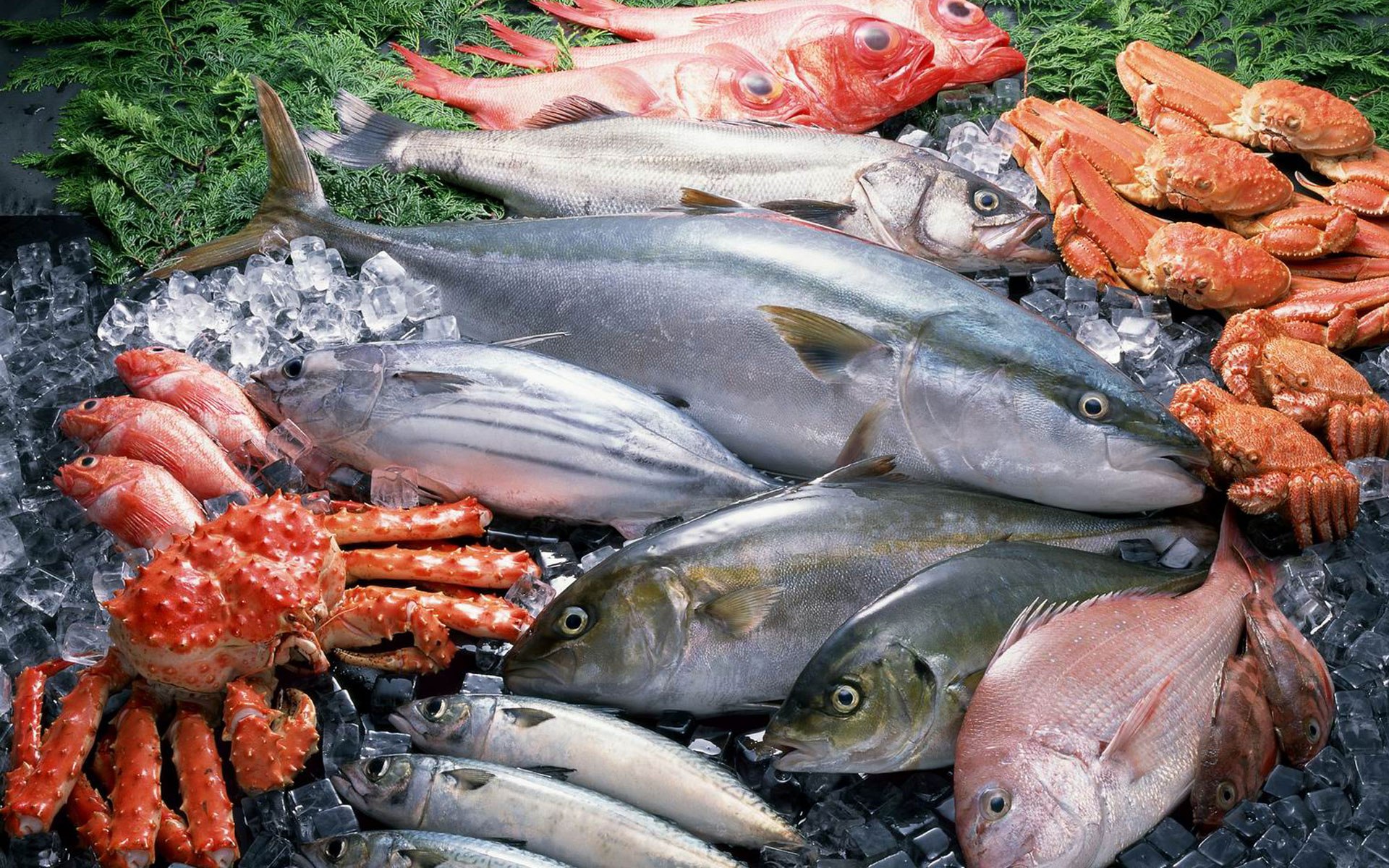 Fish product. Рыба и морепродукты. Свежемороженая рыба. Рыба съедобная. Свежая рыба и морепродукты.