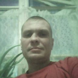 Александр, 40 лет, Володарск
