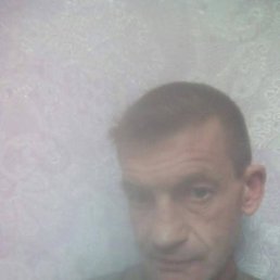 Николай, 52 года, Электрогорск