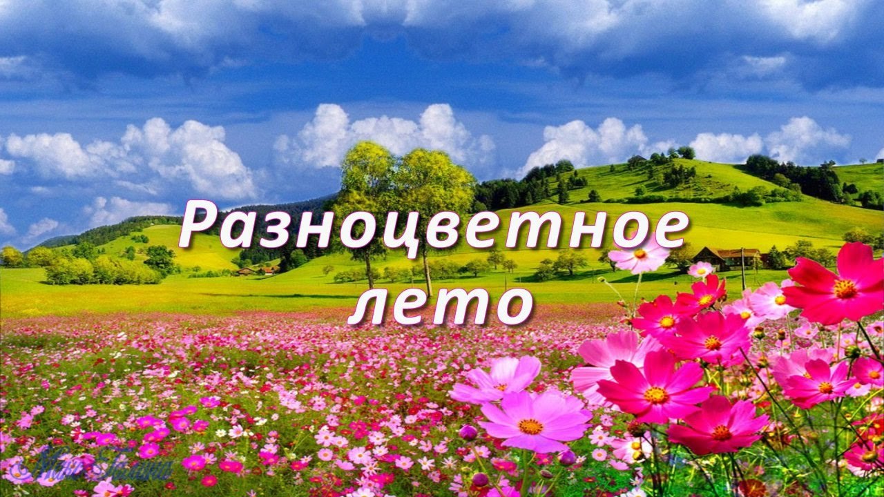Лета 2015 года до начала. Разноцветное лето. Красочное лето. Лето,красивое название.
