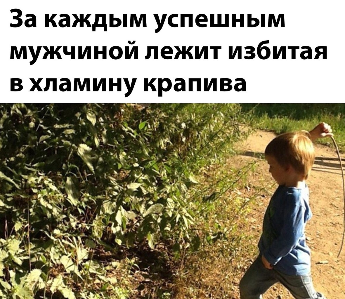 Дети бьют крапиву палкой. Крапива жалит. Как бьют крапивой. Как бьют крапивой. Как бьют крапивой.