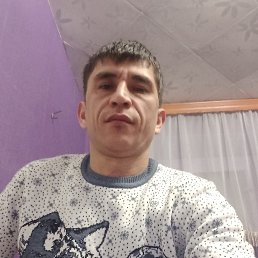 Мансур, 40 лет, Электрогорск