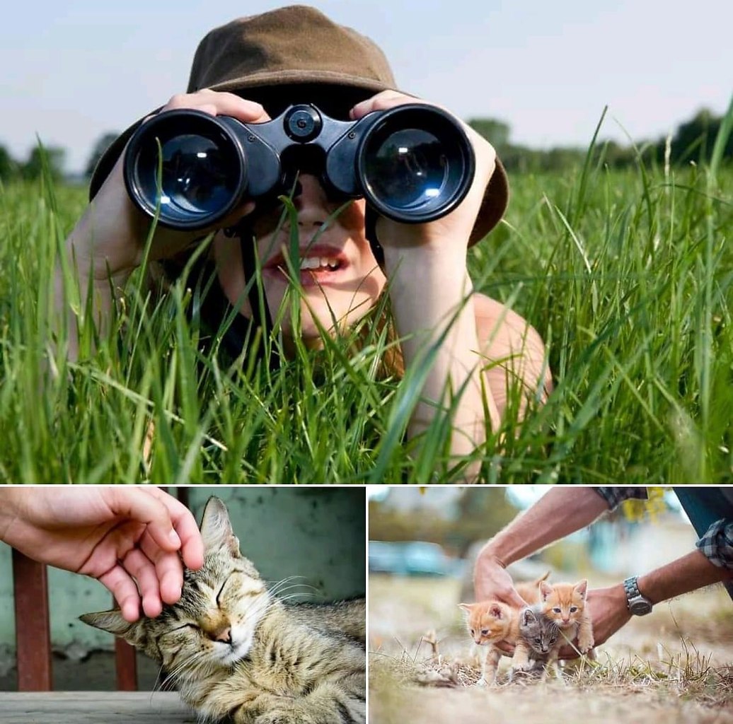 Мужик с биноклем мем. Светлое будущее в бинокль Мем. Binocular guy. Guy with Binoculars meme. Демотиватор бинокль сиськи.