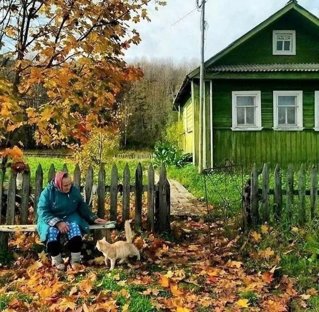 Осень в деревне