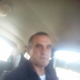 , 52 , 