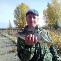 Вячеслав, 41 год, Савруха