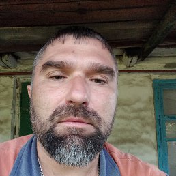 , 43 , 