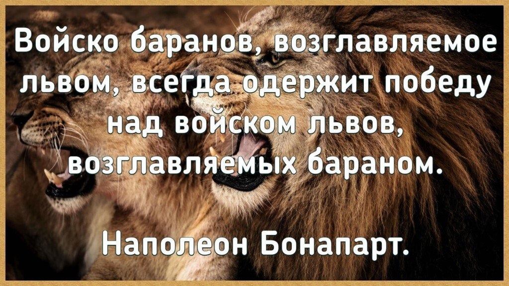 Хороший левый. Войско Баранов возглавляемое львом всегда. Стадо Баранов под предводительством Льва всегда победит. Стадо Баранов возглавляемое львом. Стадо Баранов возглавляемое львом всегда одержит победу.