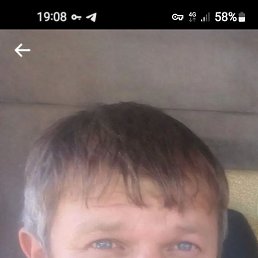 , 41 , 