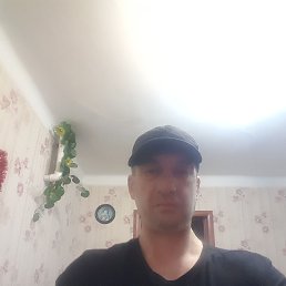 , 43 , 