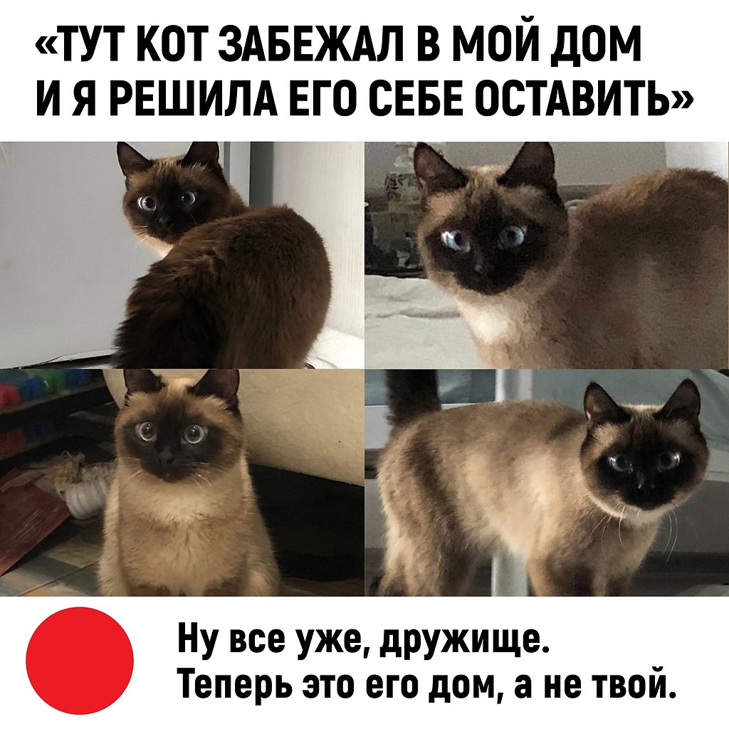 Конечно легкий