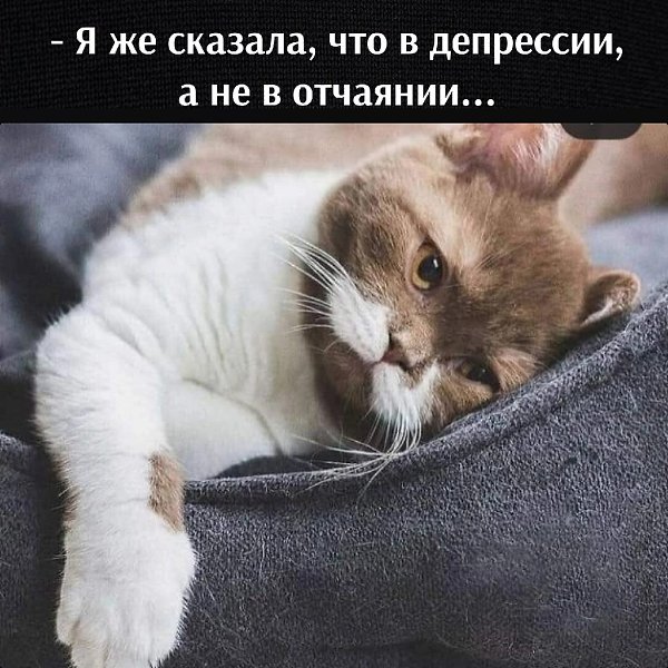 Знай что кайфую