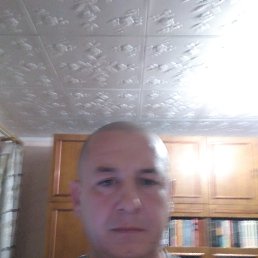 , 46 , 