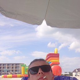 , 33 , 