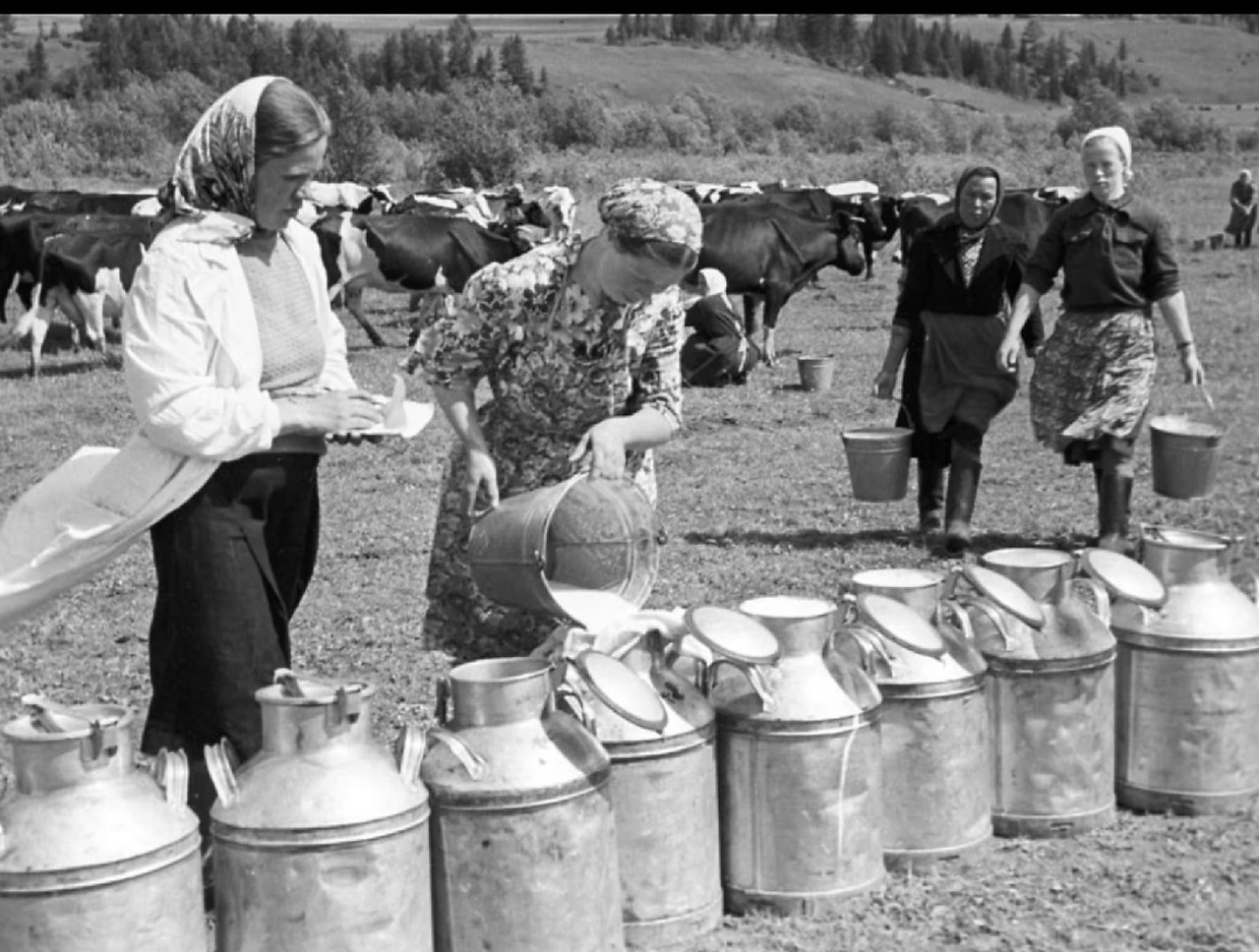 Сельское хозяйство в 70е годы в СССР