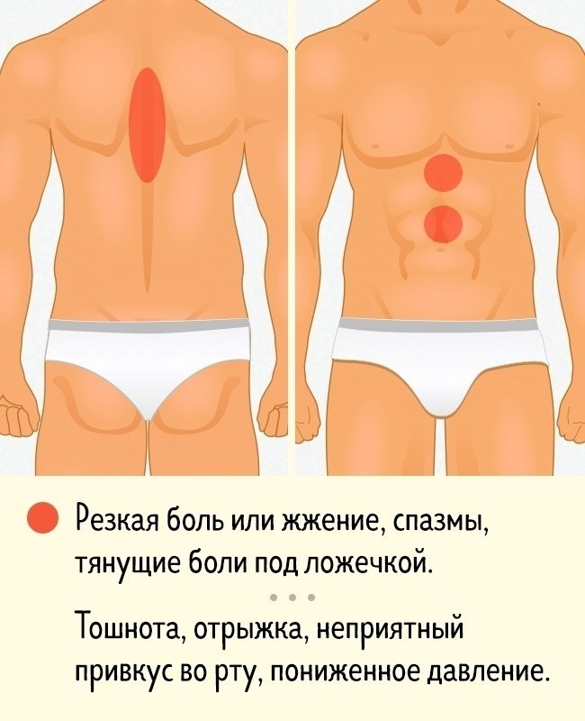 Где болит желудок у человека фото и как болит