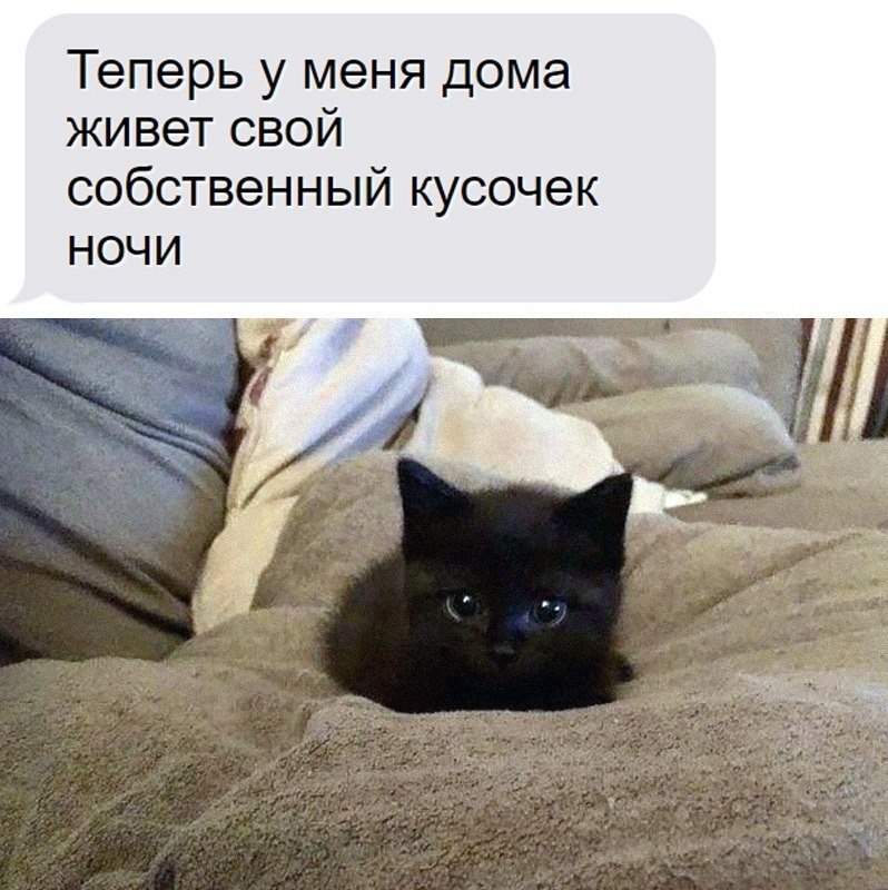 Смешные картинки 2023