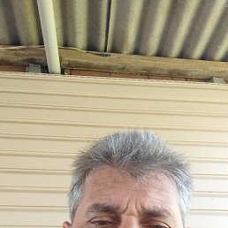 , 50, --