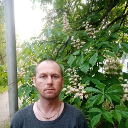 , 35 , 