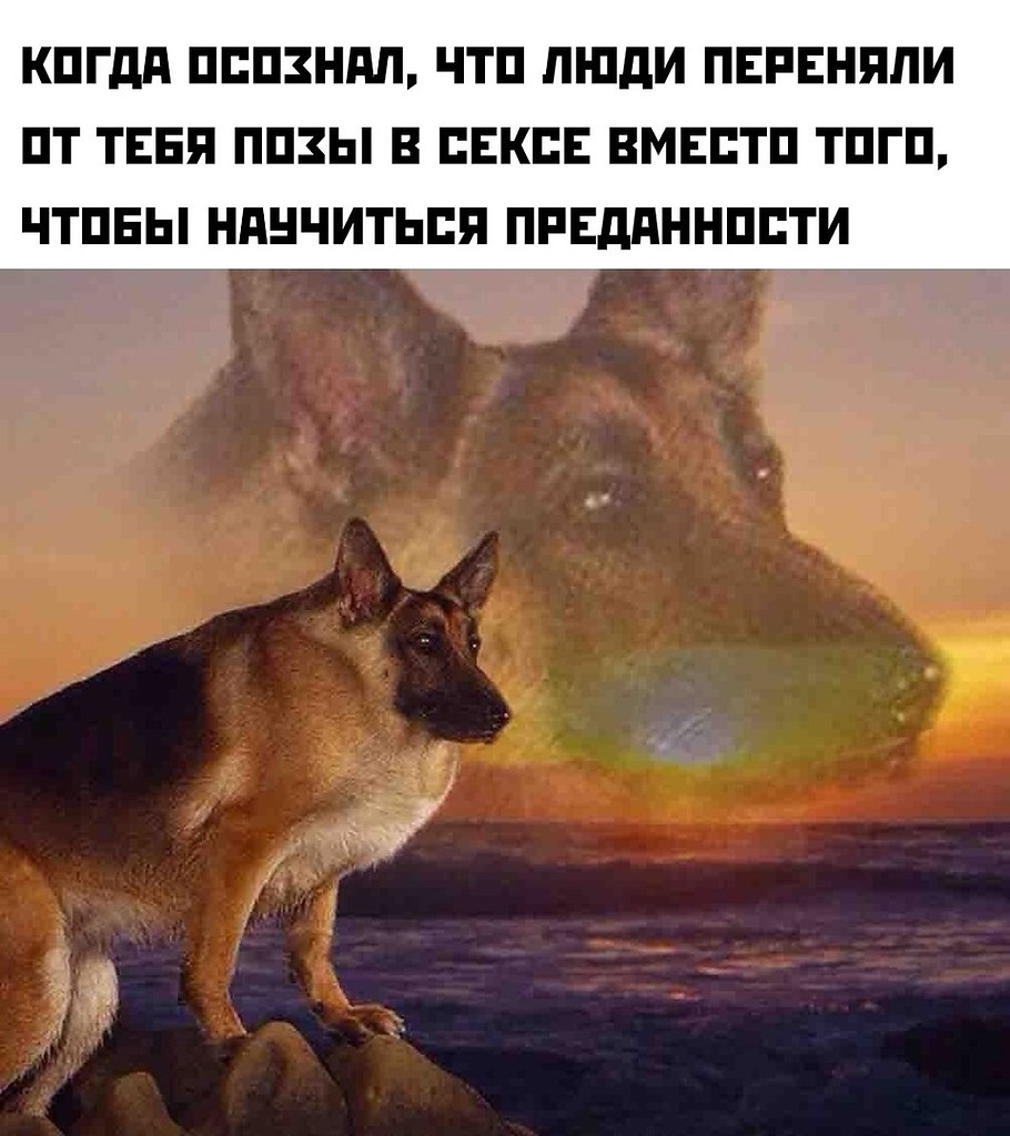 Витус уволил своего сотрудника на Мальдивах Записки Лудомана