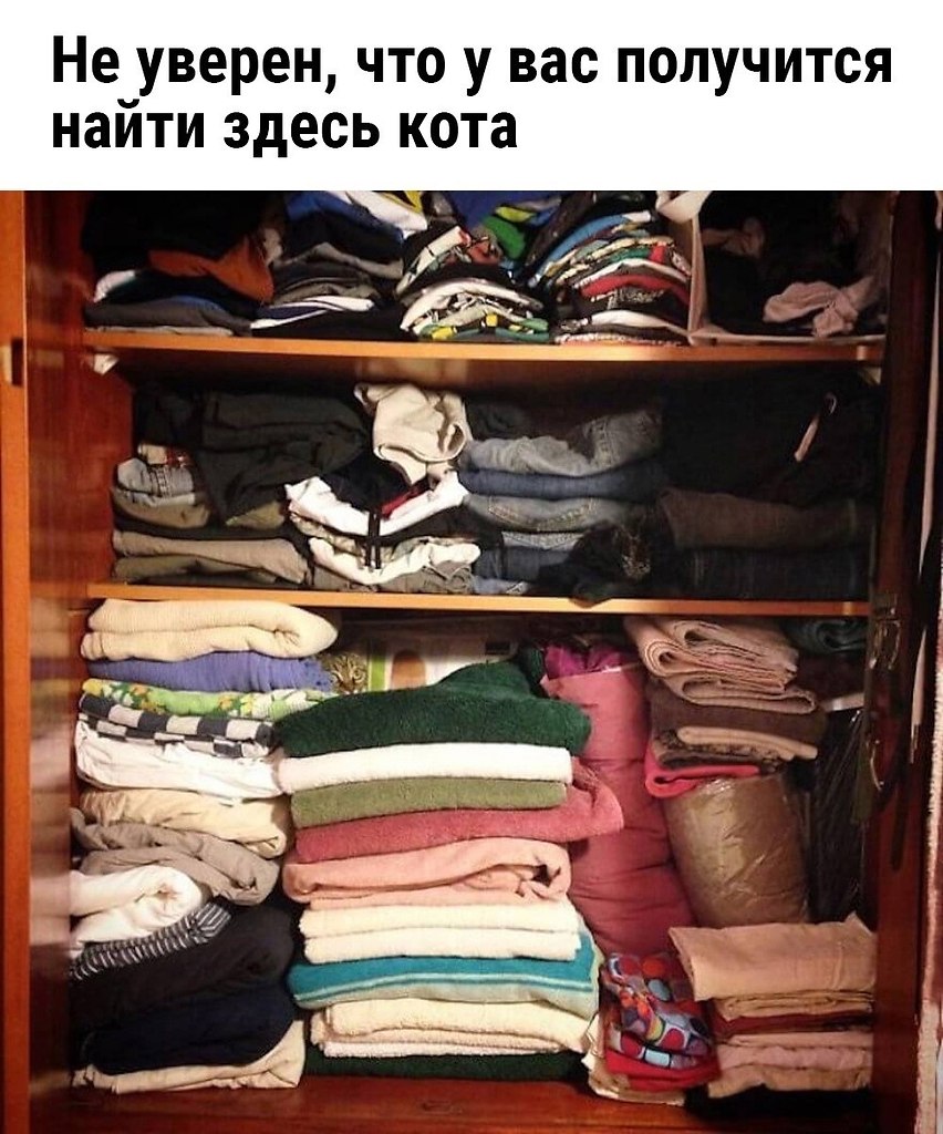 Фото, на котором есть кот. Это факт - Приколы | Юмор | Позитив ...