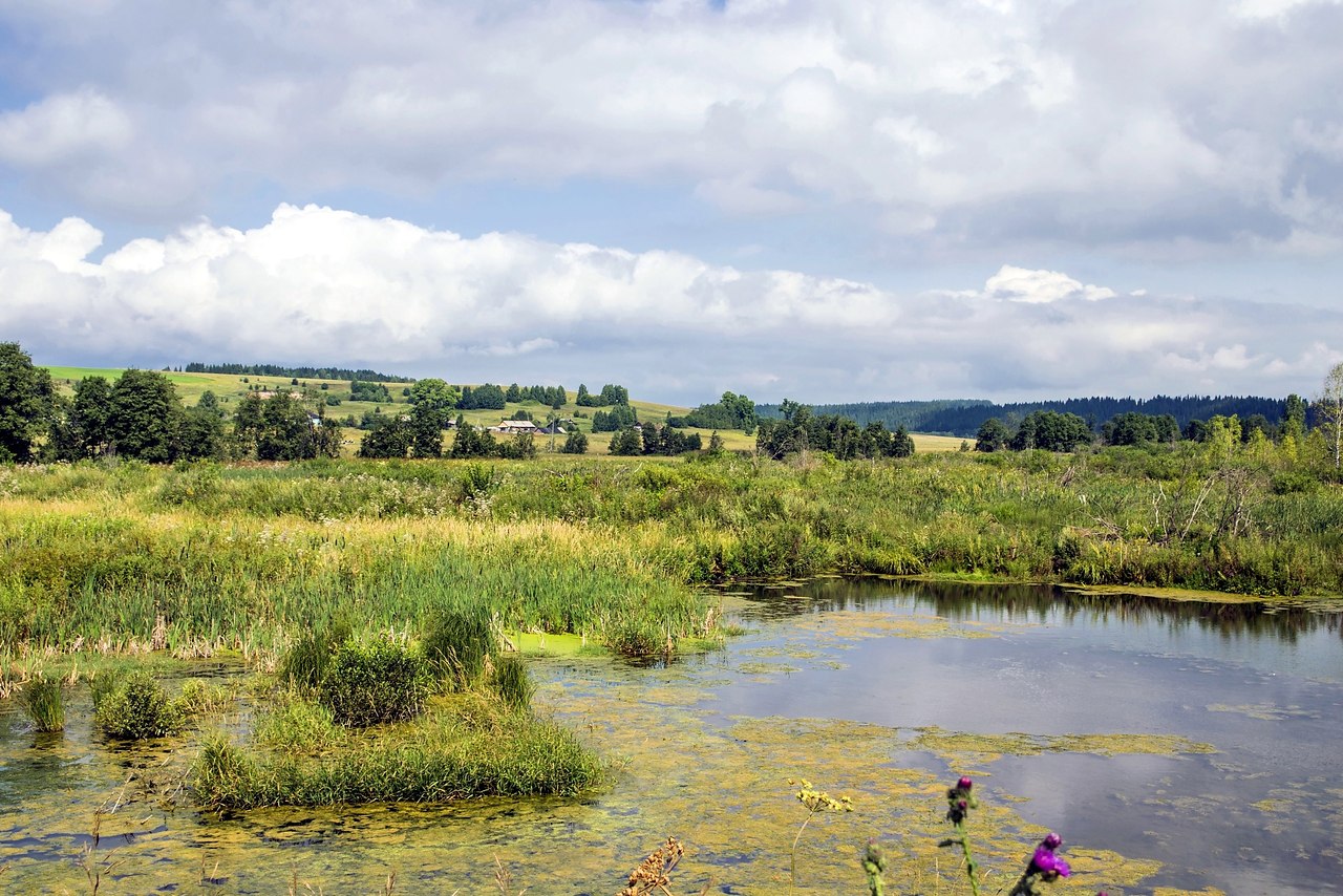 Март в деревне. Село ранее. Ранняя весна в деревне. Село ранее. Село ранее.