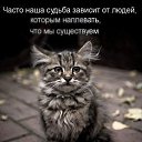���� ���������, ������, 40 ��� - ��������� 6 ������� 2010 � ������ ��������� ��������)))�