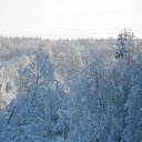  Serzh Van Der Maaremaan,  -  1  2009    