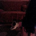 ���� Teyua, ����, 29 ��� - ��������� 19 ������� 2012 � ������ ���� ����������