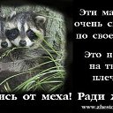 ���� ����� (��������� ������ ������), ���� - ��������� 1 ������ 2012 � ������ ������