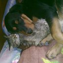 ���� � ����� �� ������� ����� ��� ������������