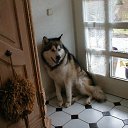  Walter, , 64  -  16  2012   