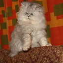 ���� Katkas, �������, 45 ��� - ��������� 5 ������ 2009 � ������ ����������