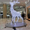 ���� Gleb, �����������, 63 ���� - ��������� 12 ���� 2013 � ������ ���� ����������