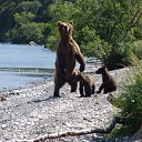 ���� ������, ����-���������, 52 ���� - ��������� 11 ������� 2011 � ������ ���� ����������