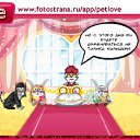 ���� �������, �������, 37 ��� - ��������� 27 ������ 2011 � ������ �PetLove�
