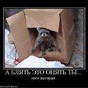 ���� �����, ������, 58 ��� - ��������� 23 ������� 2010 � ������ �������