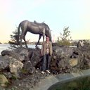 ���� �������, ����, 43 ���� - ��������� 20 ���� 2012 � ������ ���� ����������