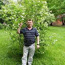 ����������� �� ������� ���� ����������