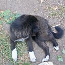 ���� ���������, ��������, 32 ���� - ��������� 3 ���� 2012 � ������ ���� ����������