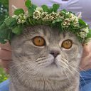 ���� ������, ������, 53 ���� - ��������� 13 ������ 2011 � ������ �PetLove�