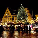 ���� Elvira, �����, 59 ��� - ��������� 2 ������ 2013 � ������ ���� ����������