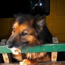  , , 36  -  30  2010       !!!=)