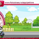  , , 34  -  1  2010   PetLove
