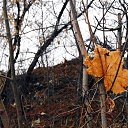 Autumn leaf maple... ������� ���� ��������... �� ������� �������