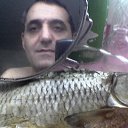 ���� ������, ������ ��������, 39 ��� - ��������� 3 ������� 2012 � ������ ���� ����������