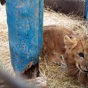 ���� ���, ������ - ��������� 12 ������ 2010 � ������ �������