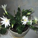 ���� �������, ���������, 66 ��� - ��������� 14 ������� 2013 � ������ ���� ����������