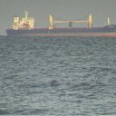 ���� ��������, ����, 59 ��� - ��������� 2 �������� 2011 � ������ ���� ����������