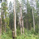 ���� ������, �������� - ��������� 15 ������� 2010 � ������ �2010�